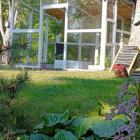 Maya Villa *